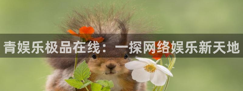 乐天堂fun官网