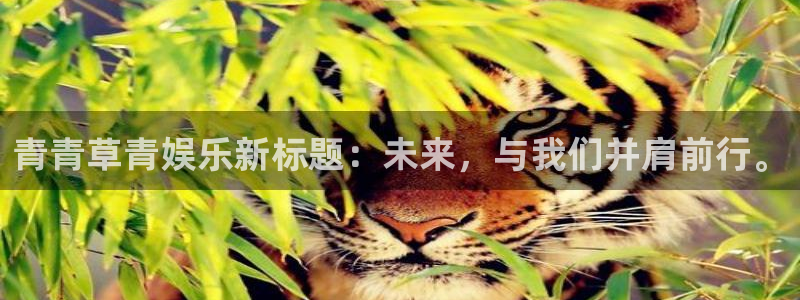 乐天堂fun88备用网址：青青草青娱乐新标题：未来，与我们并肩前行。