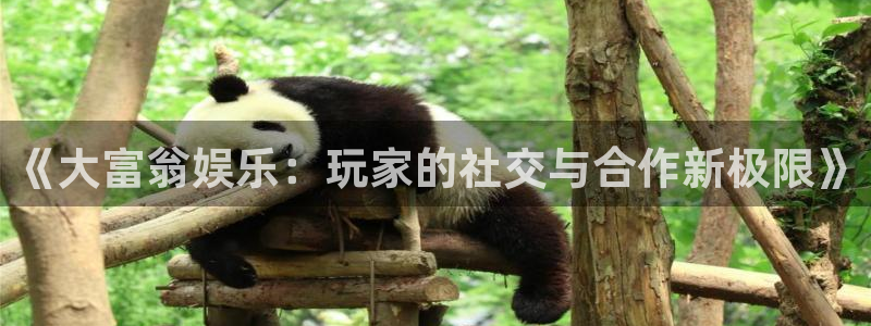 fun88·乐天堂：《大富翁娱乐：玩家的社交与合作新极限》