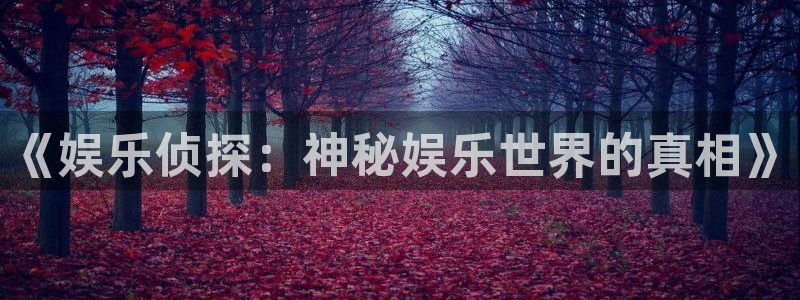 fun88city net：《娱乐侦探：神秘娱乐世界的真相》