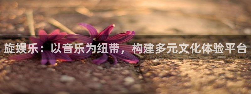fun88：旋娱乐：以音乐为纽带，构建多元文化体验平台