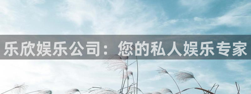 fun88：乐欣娱乐公司：您的私人娱乐专家